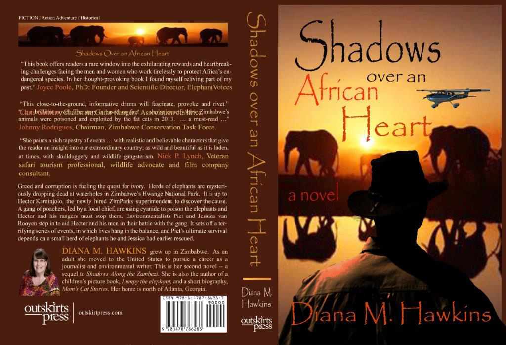 shadows_over_an_african_heart